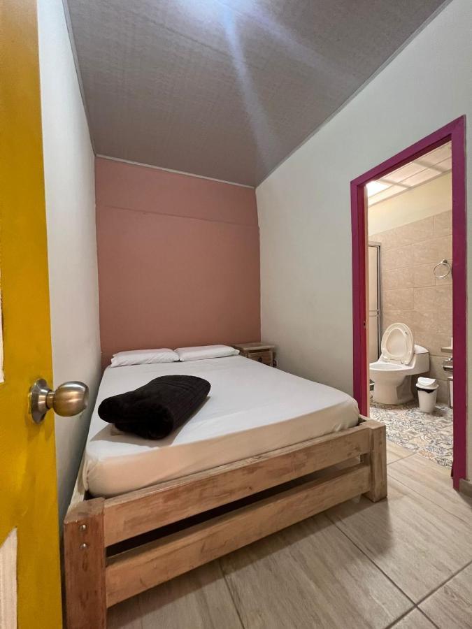 Bareque Hostel Salento Dış mekan fotoğraf